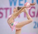 RSG Gazprom World Cup Stuttgart&nbsp;2014