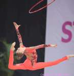 RSG Gazprom World Cup Stuttgart&nbsp;2014